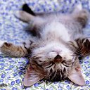 ���� ����, ������� - ��������� 26 ������� 2013 � ������ ���� ����������