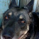 ���� ����, �������, 40 ��� - ��������� 25 ������ 2014 � ������ ���� ����������