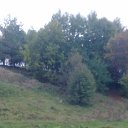 ���� Tarik, ���� - ��������� 11 ����� 2014 � ������ ���� ����������