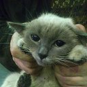 ���� ���������, ���������������, 61 ��� - ��������� 6 ������� 2014 � ������ �������