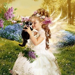 ���� ������, �����-��������� - ��������� 10 ����� 2014