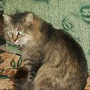 ����� ������ �� ������... �� ������� ���� ���� � ������ ��������