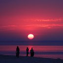 ���� �����, ��������� - ��������� 11 ������� 2013 � ������ �������