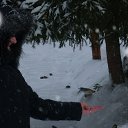 ���� �� ������� ���� ����������