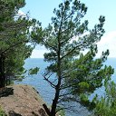 ���� ������, �����-��������� - ��������� 17 �������� 2013 � ������ �����