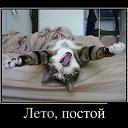���� �����, ������� - ��������� 24 ������� 2013 � ������ ������� ���� �������)))�