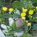 ���� �����, ���������, 55 ��� - ��������� 11 ������ 2014 � ������ ���� ����.�