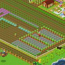 ���� Avia, ������ - ��������� 24 ������� 2013 � ������ ������� �������