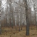 ���� �������, �������� - ��������� 26 ������ 2014 � ������ ���� ����������