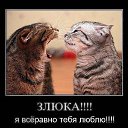 ���� �������, ���������� - ��������� 26 �������� 2013 � ������ ��� ����