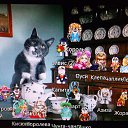 -,    ! , ,    ,       . ,   .    .