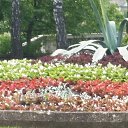 �������� ����������!!!!!! �� ������� ����� ��� ������������