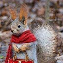 ���� ������, ������������ - ��������� 17 ������� 2013 � ������ ���� ����������