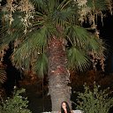 ���� �����������, ���������, 33 ���� - ��������� 16 �������� 2013 � ������ ���� ����������