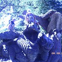 ���� ����, ������, 51 ��� - ��������� 23 �������� 2013 � ������ �������������