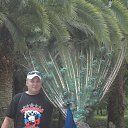 ���� �����, ���������� �����, 47 ��� - ��������� 15 ������� 2013 � ������ ���� ����������