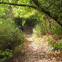 ���� ����, ����������� - ��������� 8 ������� 2013 � ������ ��� �����