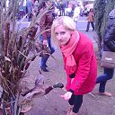 ���� ��������, ������, 37 ��� - ��������� 27 �������� 2013 � ������ ���� ����������