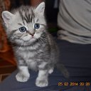 ������� ����� ������� ������ �� ������� �� ������� ����� ������!�