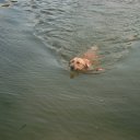 ���� ����, �����-���������, 41 ��� - ��������� 23 �������� 2013