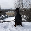 ���� ������, ������, 45 ��� - ��������� 22 ������� 2013 � ������ ���� ����������