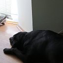 ���� ���������, ������, 54 ���� - ��������� 8 ������� 2013