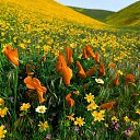 ���� �����, ��������, 38 ��� - ��������� 15 ������ 2013 � ������ ����� ��� ����))))�