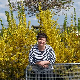 ���������, �����������, 70 ���