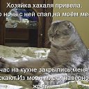  ,  -  29  2013    