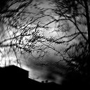 ���� Benvolio, ��������, 42 ���� - ��������� 14 ������� 2014 � ������ ������ ��������