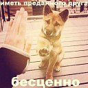 ���� ���, ������ - ��������� 18 ������� 2013 � ������ ���������