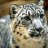 ���� ������, ����� - ��������� 16 ������� 2014