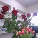 8 �����!!!! ������� ���� ! :-) �� ������� ���� ����������