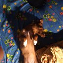 ��� ��� �� ����!!! �� ������� ���� ����������