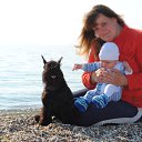 ���� ��������, ���������, 44 ���� - ��������� 15 ������� 2013 � ������ ���� ����������