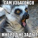 ���� ������, ������, 35 ��� - ��������� 15 ������ 2013 � ������ ���� ����������