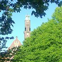 ���� Ilia, ���������, 73 ���� - ��������� 5 ������� 2013 � ������ �Stockholm�