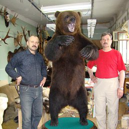 � ����������