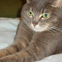 ��� ������� ������� �� ������� ���� ����������