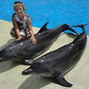 ���� ������, ����������, 64 ���� - ��������� 5 ������ 2014 � ������ ���� ����������