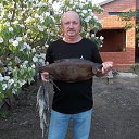 ���� ������, ���������, 65 ��� - ��������� 3 ������� 2014 � ������ ���� ����������