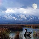 ���� �������, �����-���������, 54 ���� - ��������� 13 ����� 2014 � ������ ���� ����������