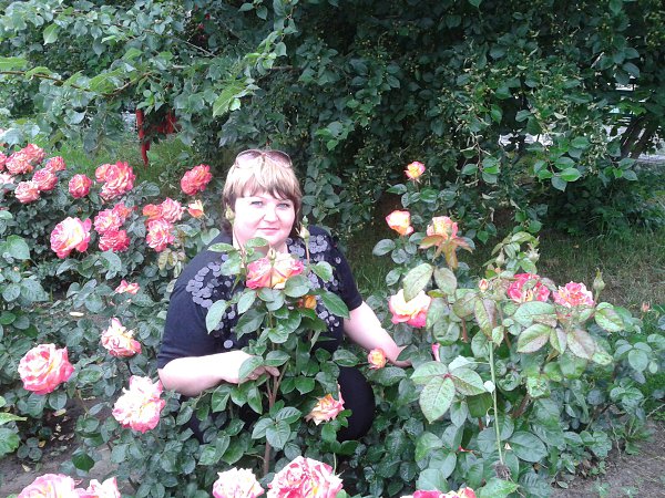  :     ... - , 52 , -