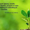 ���� ������, ����-������� - ��������� 4 ������� 2013 � ������ ���� ����������