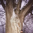  , -, 51  -  15  2014