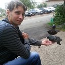 ���� Ksander, ������, 37 ��� - ��������� 23 �������� 2013