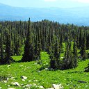 ���� �������, ����-�����������, 66 ��� - ��������� 5 ������� 2013 � ������ ����������.�