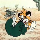 ���� �����, ����, 46 ��� - ��������� 25 ������ 2014 � ������ ���� ����������