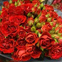 ���� ������, ������� - ��������� 23 ������� 2014 � ������ ���� ����������