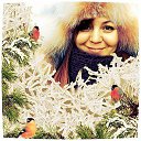 ���� ����, ������, 55 ��� - ��������� 30 ������� 2013 � ������ ���� ����������